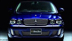 Jaguar Wald Black Bison-image-3395700177.jpg