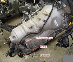 leaking trans--harness?-zf-transmission.jpg