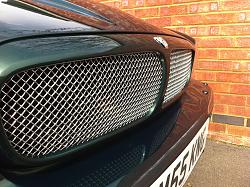 Mesh Grill-112.jpg