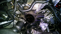 Changing Thermostat Housing Assy AJ811793 - Tips?-y0ncbkp.png