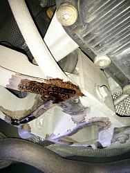 Weird oil leak - help identify the part?-img_20140906_134839.jpg