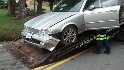 Graphic Images. Viewer Discretion Advised...-img_20140929_095412_409.jpg