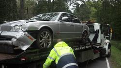 Graphic Images. Viewer Discretion Advised...-img_20140929_095456_963.jpg