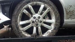 Graphic Images. Viewer Discretion Advised...-img_20140929_095632_409.jpg