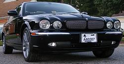 I got her!!!-004-2-.jpg