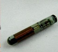 Jaguar Key Fob 2001 to 2009 Facts All You Need to Know FAQ-transponder.jpg