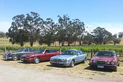 A bevy of Aussie beauties!-20141108_142113.jpg