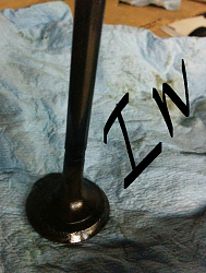 Cylinder head interchangeability-intake-valve.png
