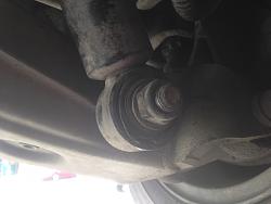 looking for shock absorbers-img_0260.jpg