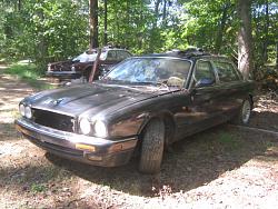 Looking for body parts, 1996 VDP-img_3312.jpg
