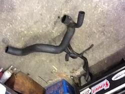 Lower Radiator Hose XJR 6 Cyl-hose.jpg
