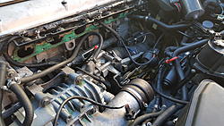 XJR6 - Crankcase ventilation hose - where does it go?-20170701_141602.jpg