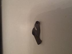 Sunroof trouble-image.jpg