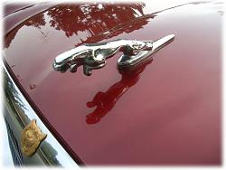 Maraud's new Grill-my-xj12-leaper.jpg