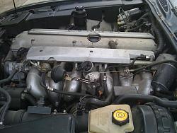 95 x300 pictures and a question-img_0257.jpg
