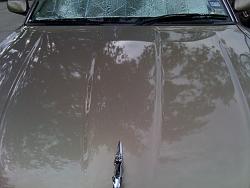 95 x300 pictures and a question-img_0258.jpg
