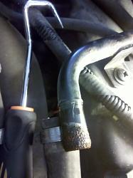Lower Radiator Hose Renewal-img_20130902_130935_zpse0d9db58.jpg