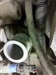 Lower Radiator Hose Renewal-img_20130904_204611_zpsd2173bd7.jpg