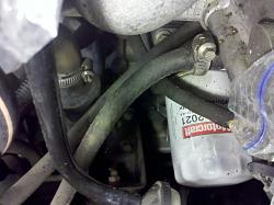 Lower Radiator Hose Renewal-img_20130906_205308_zps24407b80.jpg