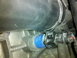 Lower Radiator Hose Renewal-img_20130906_204403_zpsb1bd2dfc.jpg