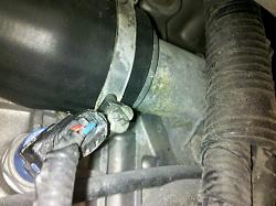 Lower Radiator Hose Renewal-img_20130906_202009_zps0e38882d.jpg