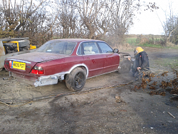 x300 resto start-forumrunner_20131116_221126.png