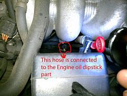 Engine oil is Discolored on dipstick.  Please help asap!-imag0510-copy-copy.jpg