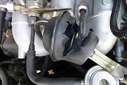 What is this?-p1030257.jpg