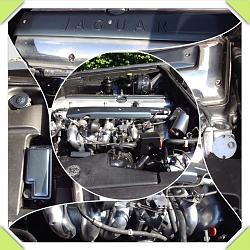 Shiney engine bay-image.jpg