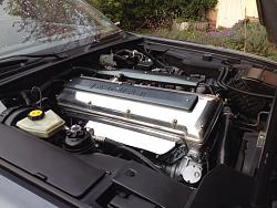 Shiney engine bay-image.jpg