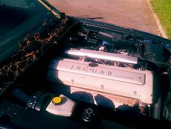 3.2 rescued from scrapper!!-img_20141026_114011.jpg
