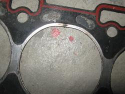 Picked up an XJR with a blown headgasket. Should I do one side or both?-img_2116.jpg