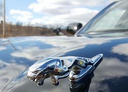 Let's see some Sexy 308 Pictures-20150425_154933-1.jpg