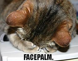 premium unleaded fuel only-facepalmkitty.jpg