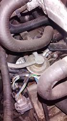 01 XJ8L No Start/No Spark-2001-jaguar-xj8-fuel-pressure-regulator-throttle-body-fuel-line-2-.jpg