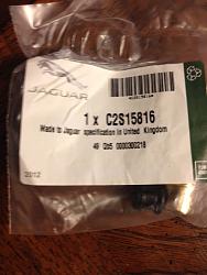 Pulling trigger on XJR?-img_2566.jpg