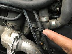 Leaking hose?-image.jpeg