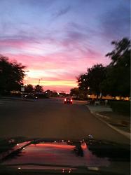 Jaguar Sunsets-image-1615406838.jpg