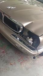 Deer Hit Accident-13548968_829888487152518_1556270380_o.jpg