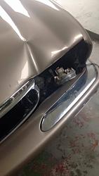 Deer Hit Accident-13549237_829888597152507_9265624_o.jpg