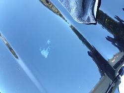 Paint issue developed while on vacation...-img_2903.jpg