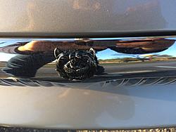 Let's see some Sexy 308 Pictures-img_0617.jpg