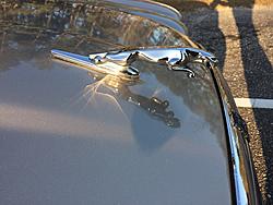 Let's see some Sexy 308 Pictures-img_0618.jpg