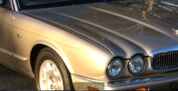 Deer Hit Accident-panel-gaps.png
