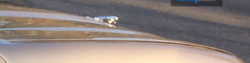 Deer Hit Accident-panel-gaps-2.png