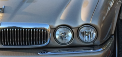Deer Hit Accident-panel-gaps-3.png