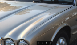 Deer Hit Accident-panel-gaps-4.png