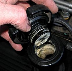 Help 2001 xjr supercharged engine blown-milky-oil-cap-1.jpg