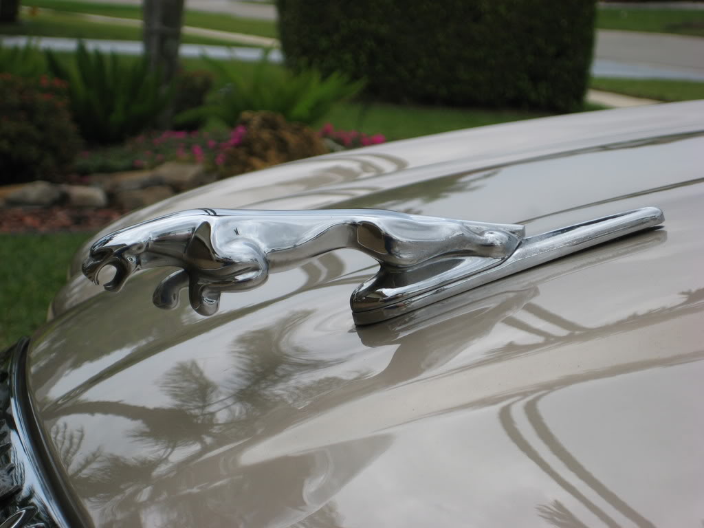 Name:  Jaguar026.jpg
Views: 161
Size:  77.9 KB