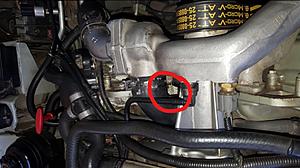 Engine number location on Jaguar Daimler Super V8 4.0-screenshot-102-_li.jpg